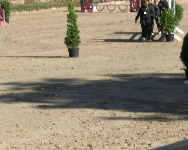 Reitturnier Wachtberg-Adendorf 2022