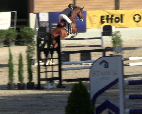 Reitturnier Wachtberg-Adendorf 2022