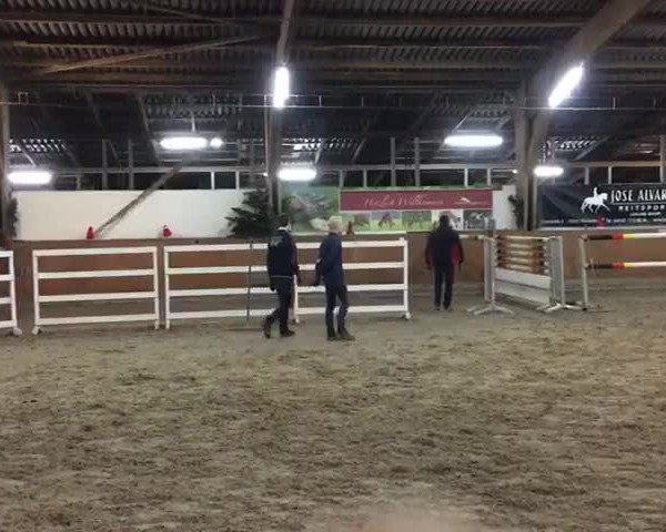Video of Carl 111