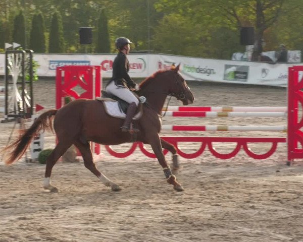 Reitturnier Neunkirchen-City 2022