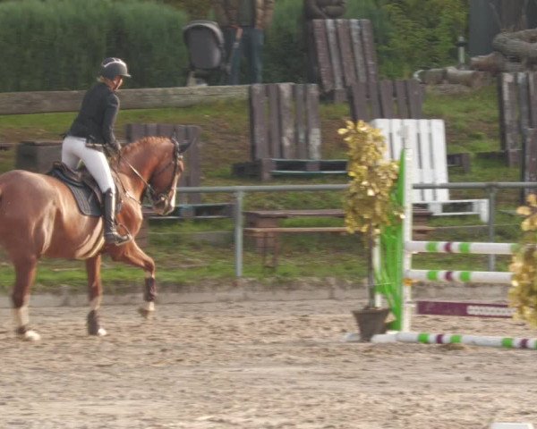 Reitturnier Neunkirchen-City 2022