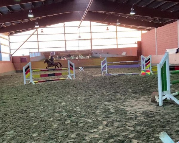 Video of Carl 111