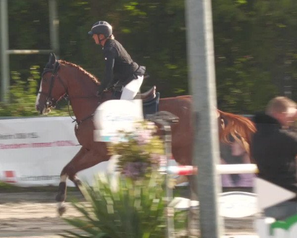 Reitturnier Neunkirchen-City 2022