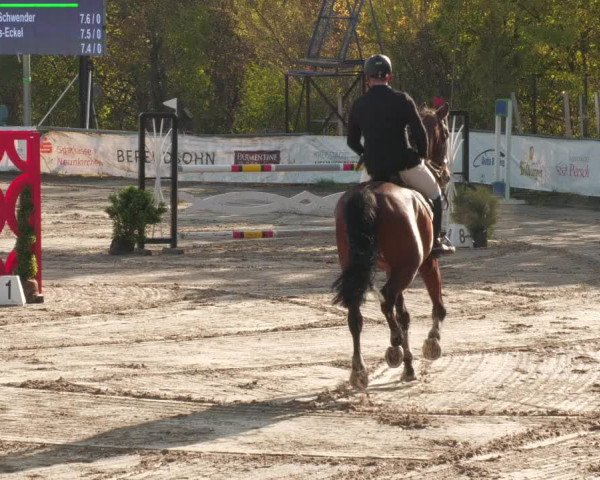 Reitturnier Neunkirchen-City 2022