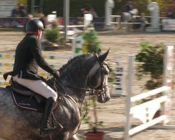 Reitturnier Neunkirchen-City 2022