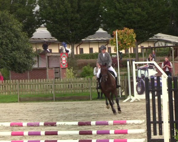 Reitturnier Schülp / Rendsburg 2021