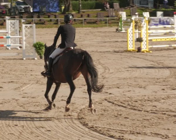 Reitturnier Neunkirchen-City 2022