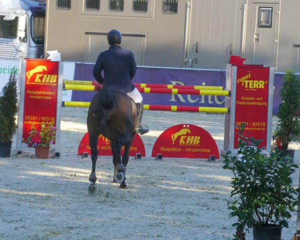 Reitturnier Karlsfeld/Obb. 2022