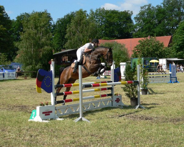 jumper Cheval 41 (Westphalian, 2001, from Caesario)