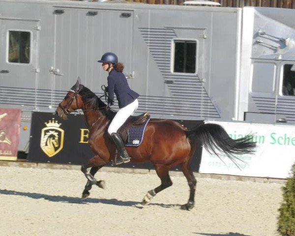 Reitturnier Karlsfeld/Obb. 2022