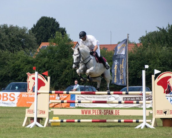 jumper Carlson 134 (Holsteiner, 2012, from Clarimo Ask) jumper Carlson 134 (Holsteiner, 2012, from Clarimo Ask)