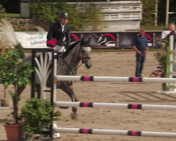 Reitturnier Neunkirchen-City 2022
