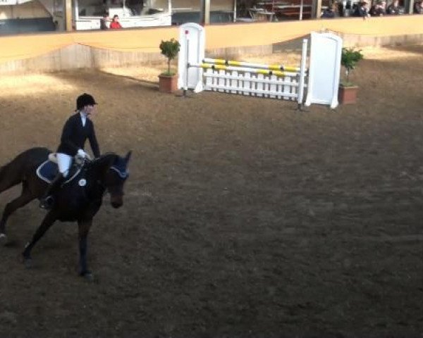 jumper Askania Nova (Westphalian, 2007, from Arpeggio)