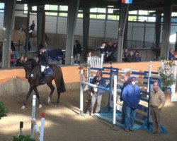 jumper Quilaco R (Oldenburg, 2003, from Quidam's Rubin)