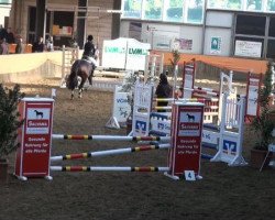jumper Quinaro de la Bryere (Holsteiner, 2007, from Quinar)