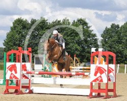 jumper Waidego (Hanoverian, 2005, from Waterford)