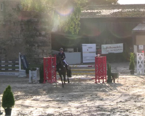 Reitturnier Wachtberg-Adendorf 2022