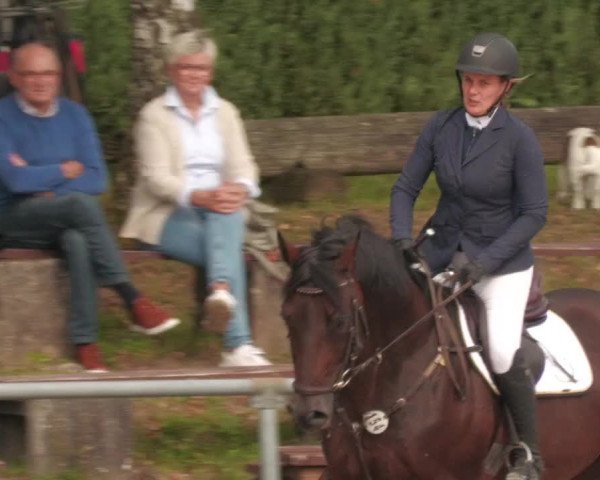 Reitturnier Neunkirchen-City 2022