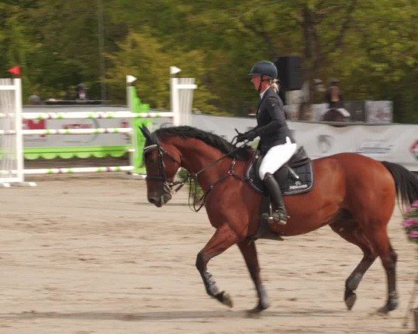 Reitturnier Neunkirchen-City 2022