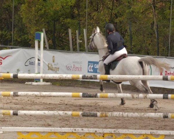 Reitturnier Neunkirchen-City 2022