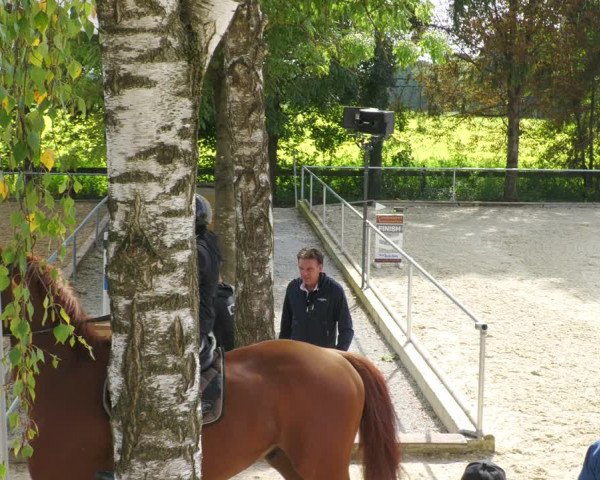 Reitturnier Karlsfeld/Obb. 2022