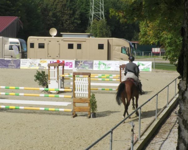 Reitturnier Karlsfeld/Obb. 2022