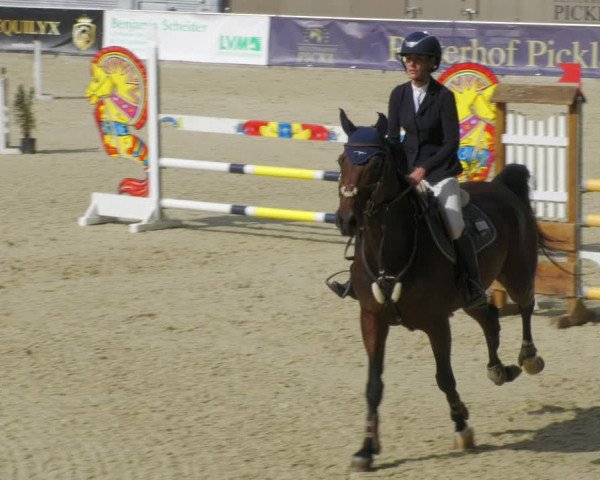 Reitturnier Karlsfeld/Obb. 2022
