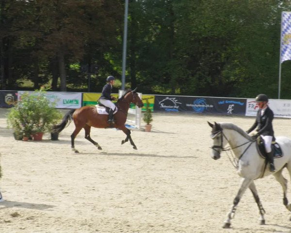 Reitturnier Karlsfeld/Obb. 2022