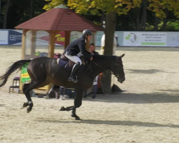Reitturnier Karlsfeld/Obb. 2022