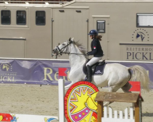 Reitturnier Karlsfeld/Obb. 2022