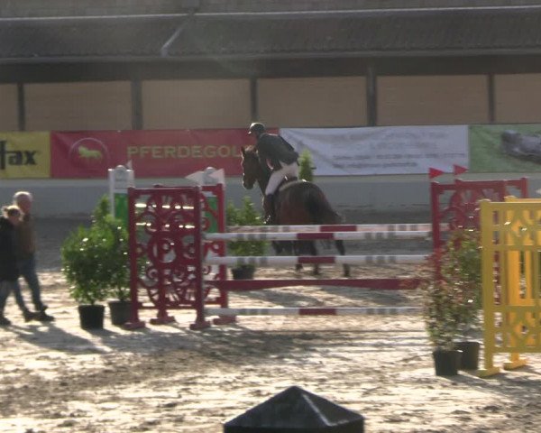 Reitturnier Wachtberg-Adendorf 2022