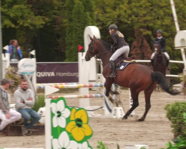 Reitturnier Neunkirchen-City 2022