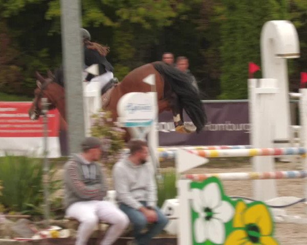 Reitturnier Neunkirchen-City 2022