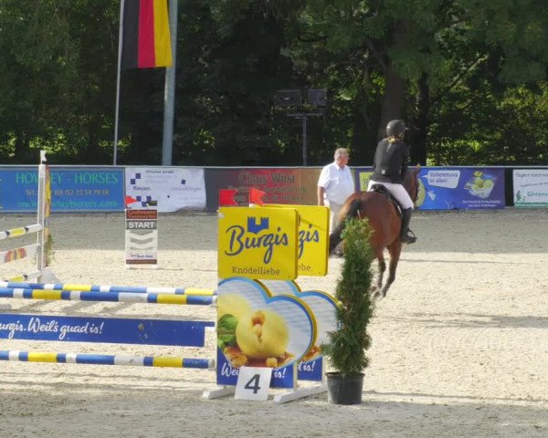 Reitturnier Karlsfeld/Obb. 2022