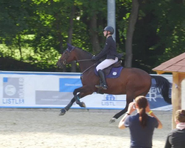 Reitturnier Karlsfeld/Obb. 2022