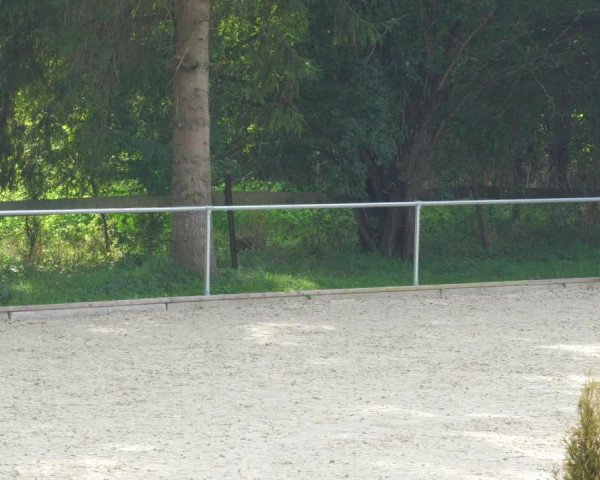 Reitturnier Karlsfeld/Obb. 2022
