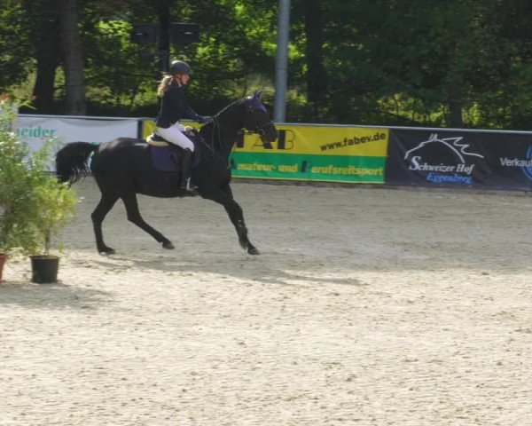 Reitturnier Karlsfeld/Obb. 2022