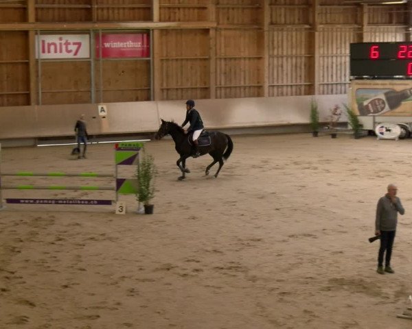 Reitturnier Winterthur 2022