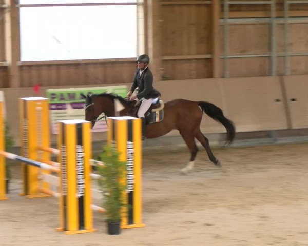 Reitturnier Winterthur 2022