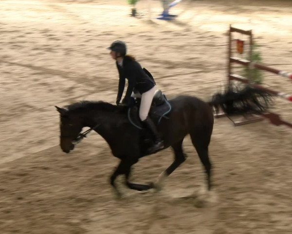 Reitturnier Winterthur 2022