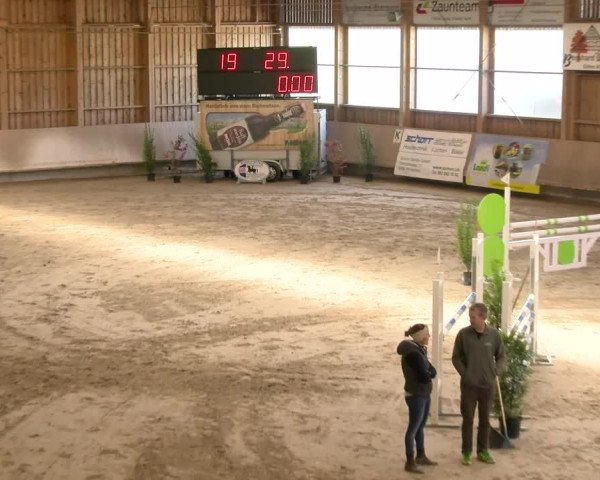 Reitturnier Winterthur 2022
