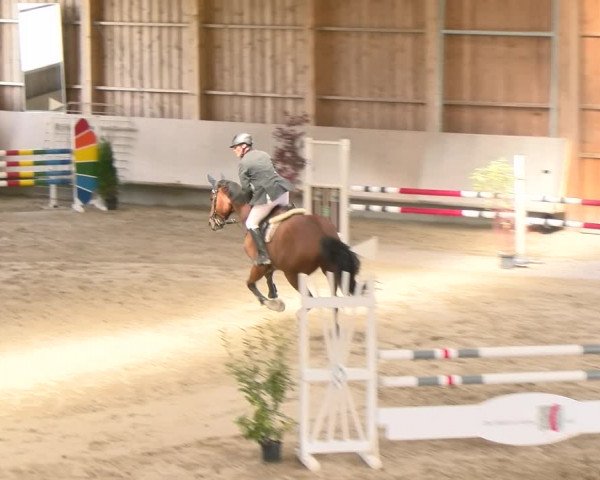 Reitturnier Winterthur 2022