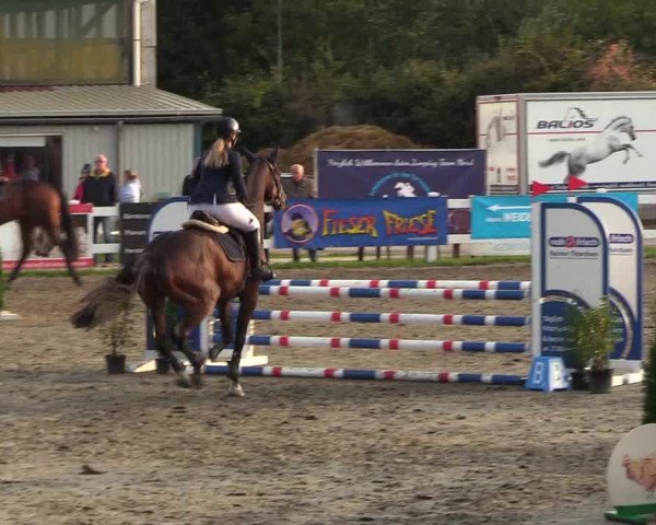 Reitturnier Mildstedt 2022