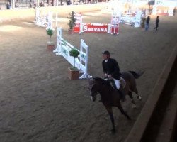 jumper Corasonne (Hanoverian, 2006, from Cranach)