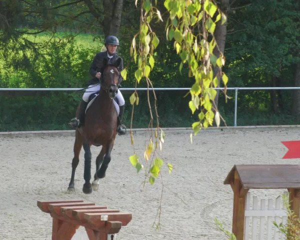 Reitturnier Karlsfeld/Obb. 2022