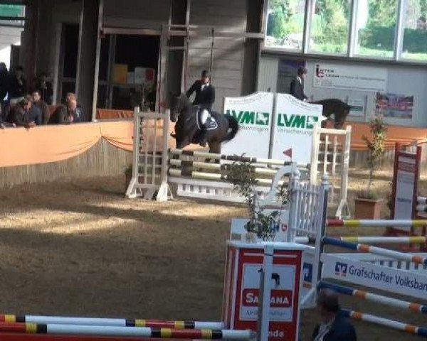 jumper Indiro 2 (Westphalian, 2006, from It's Me du Mesnil)