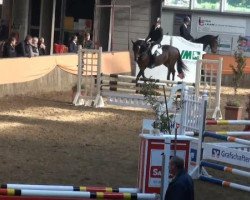 dressage horse Bentley 68 (KWPN (Royal Dutch Sporthorse), 2006, from Upgrade)