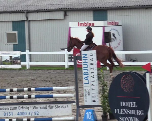 Reitturnier Mildstedt 2022