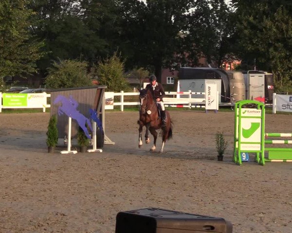 Reitturnier Mildstedt 2022