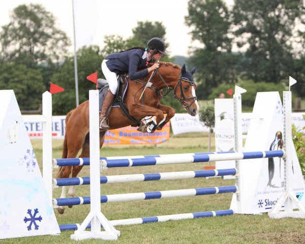 dressage horse Captain Cook (German Riding Pony, 2007, from FS Champion de Luxe)